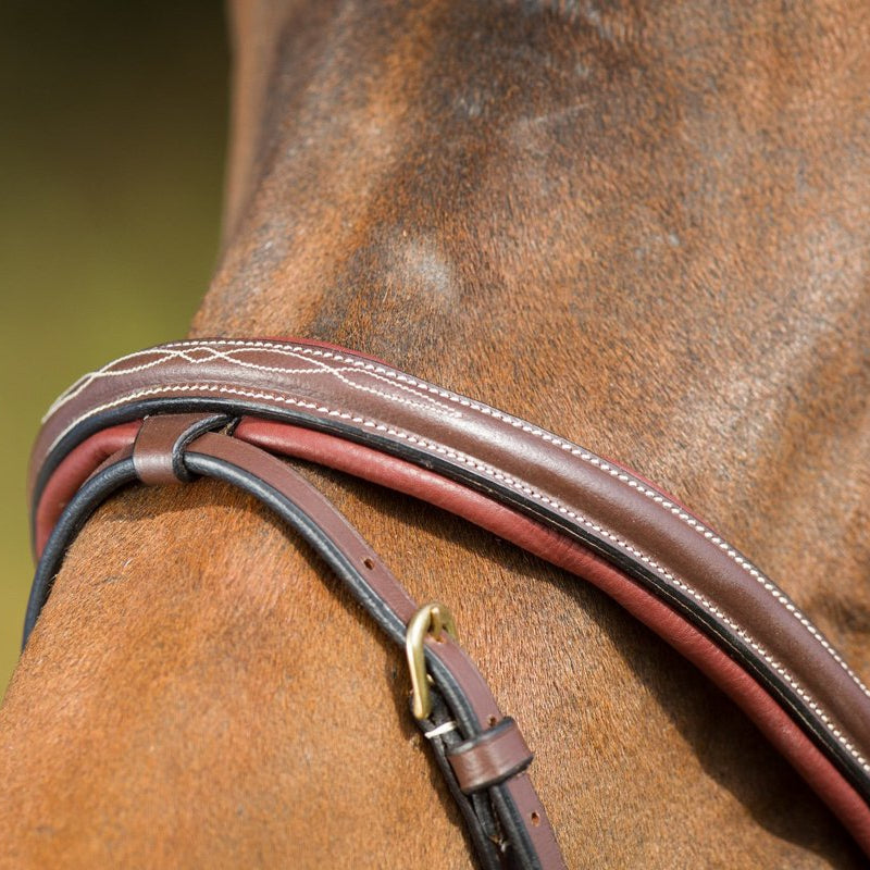 HFI Comfort Bridle