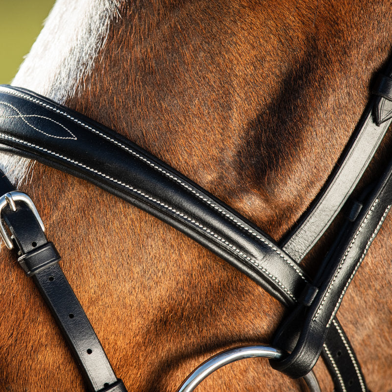 HFI Elegant Bridle