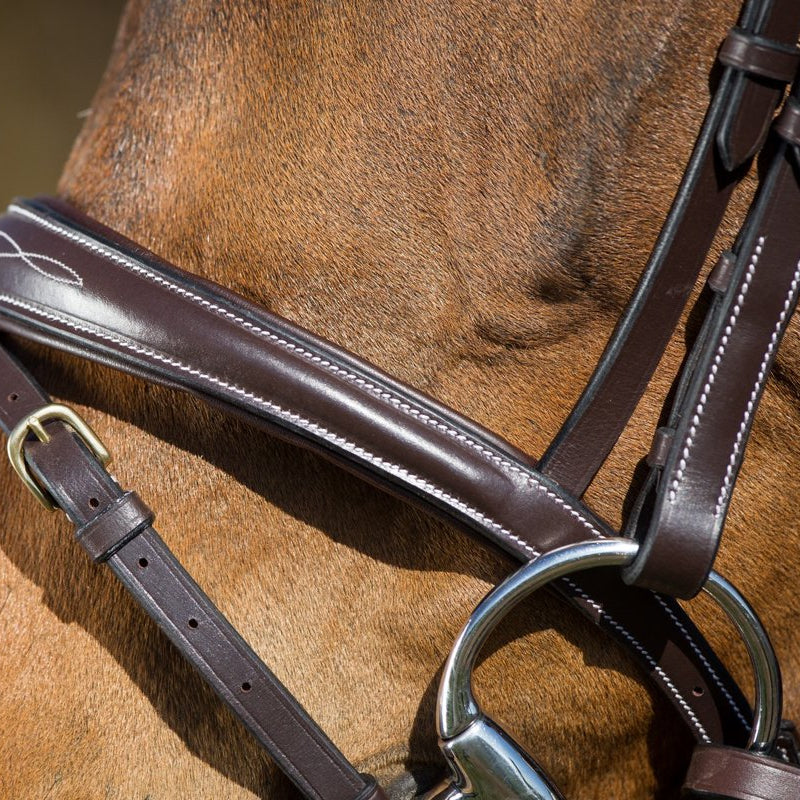 HFI Elegant Bridle