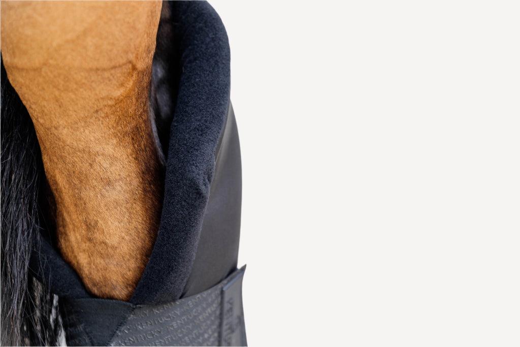 Kentucky Stable Boots Protect Long - Hind