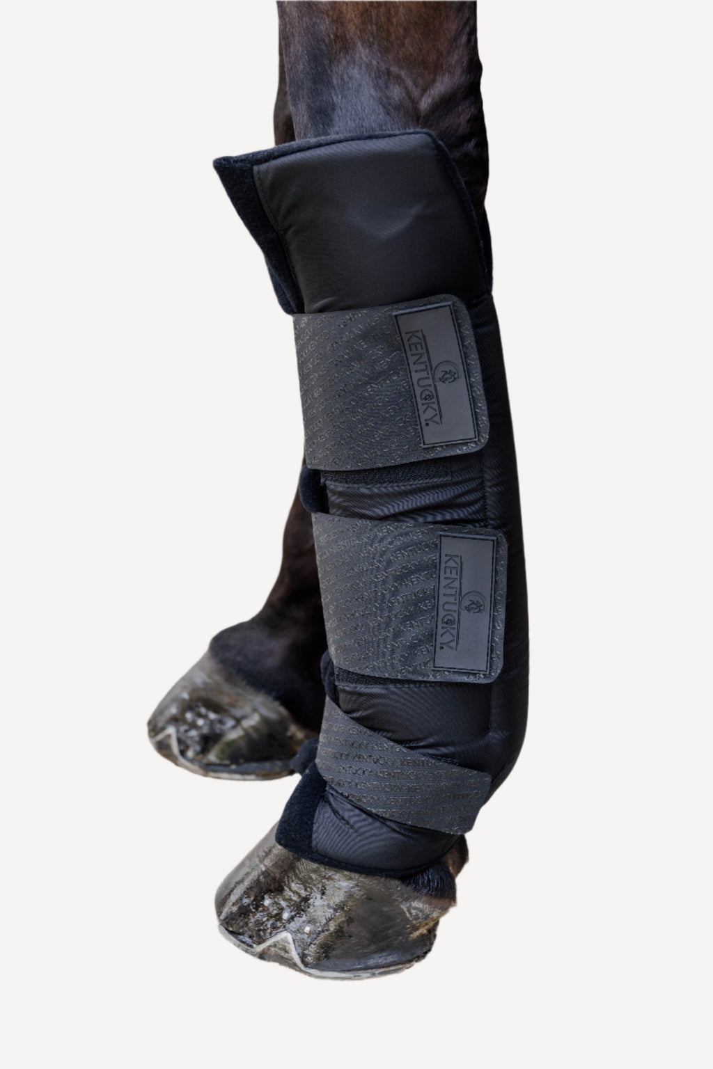 Kentucky Stable Boots Protect Long - Front