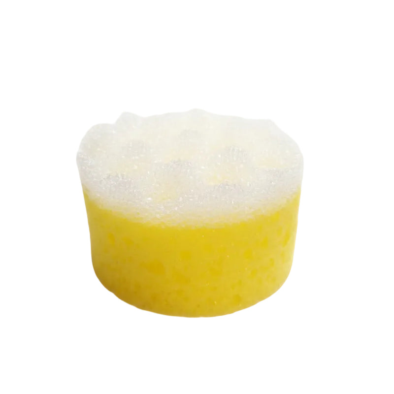 CWD Sponge