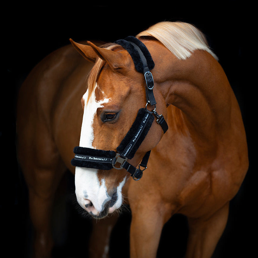LJ Halfter Nylon - Wolle