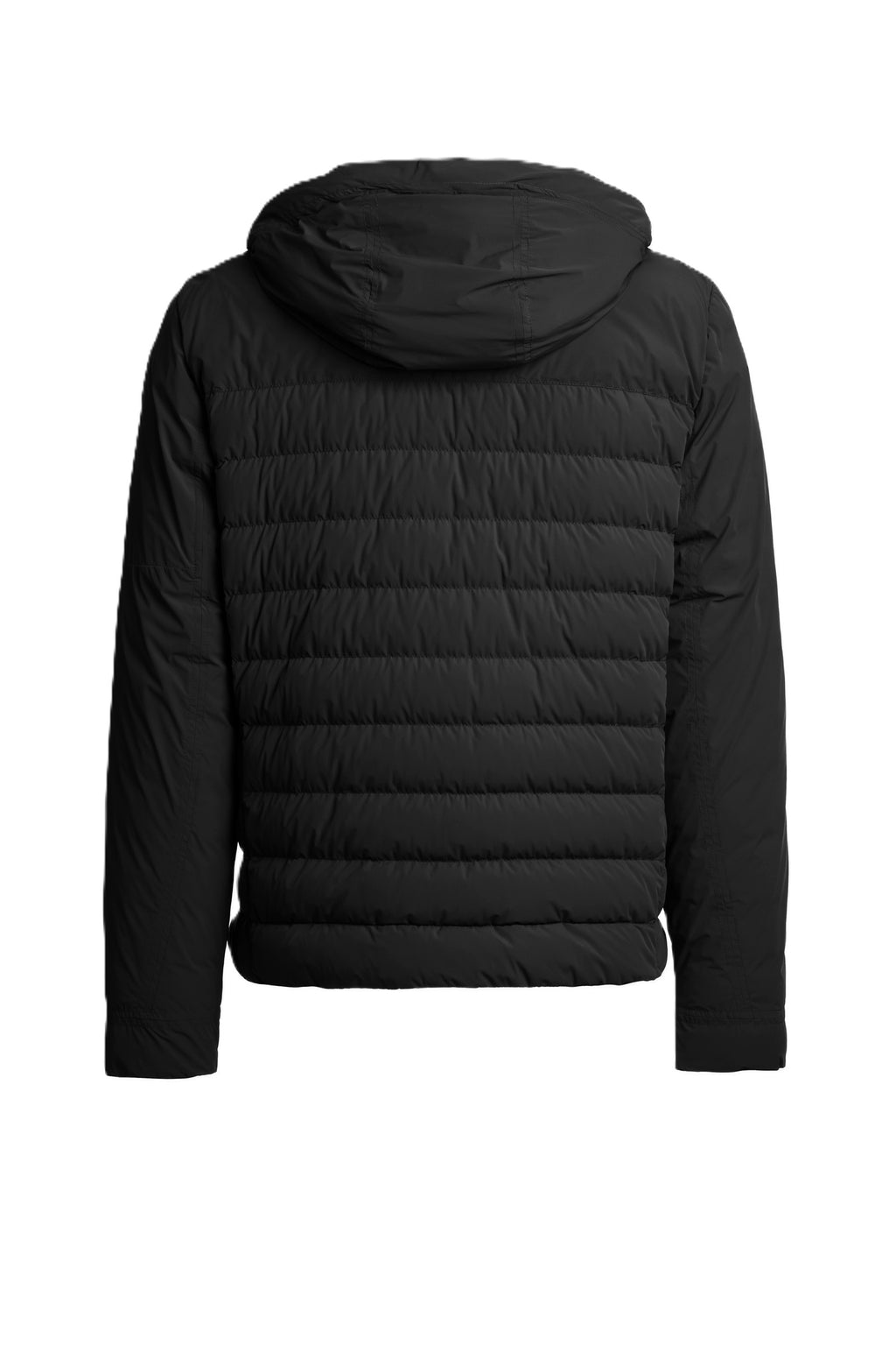 Parajumpers Jacket Colbert - Men