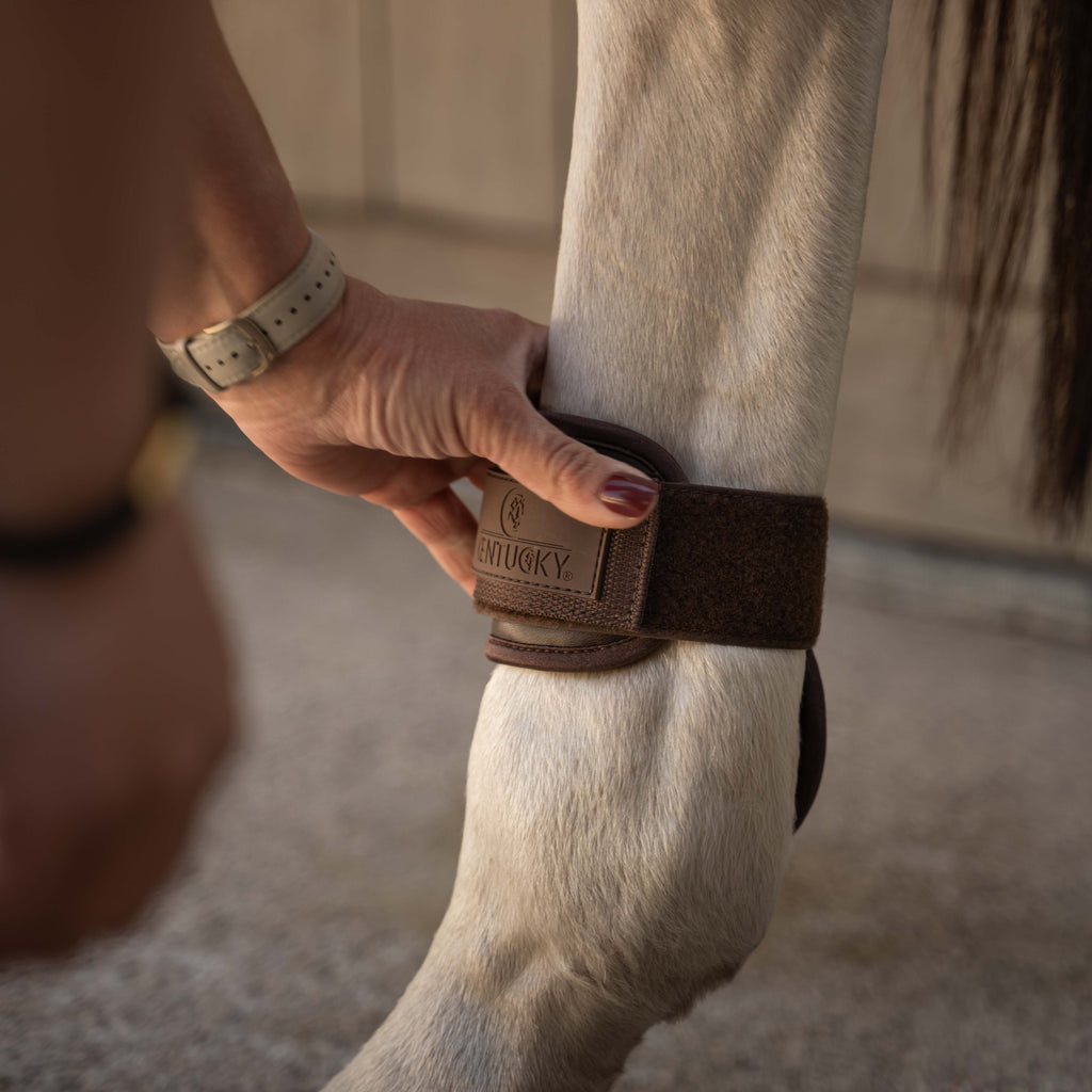 Kentucky Fetlock Boots Young Horse Pro