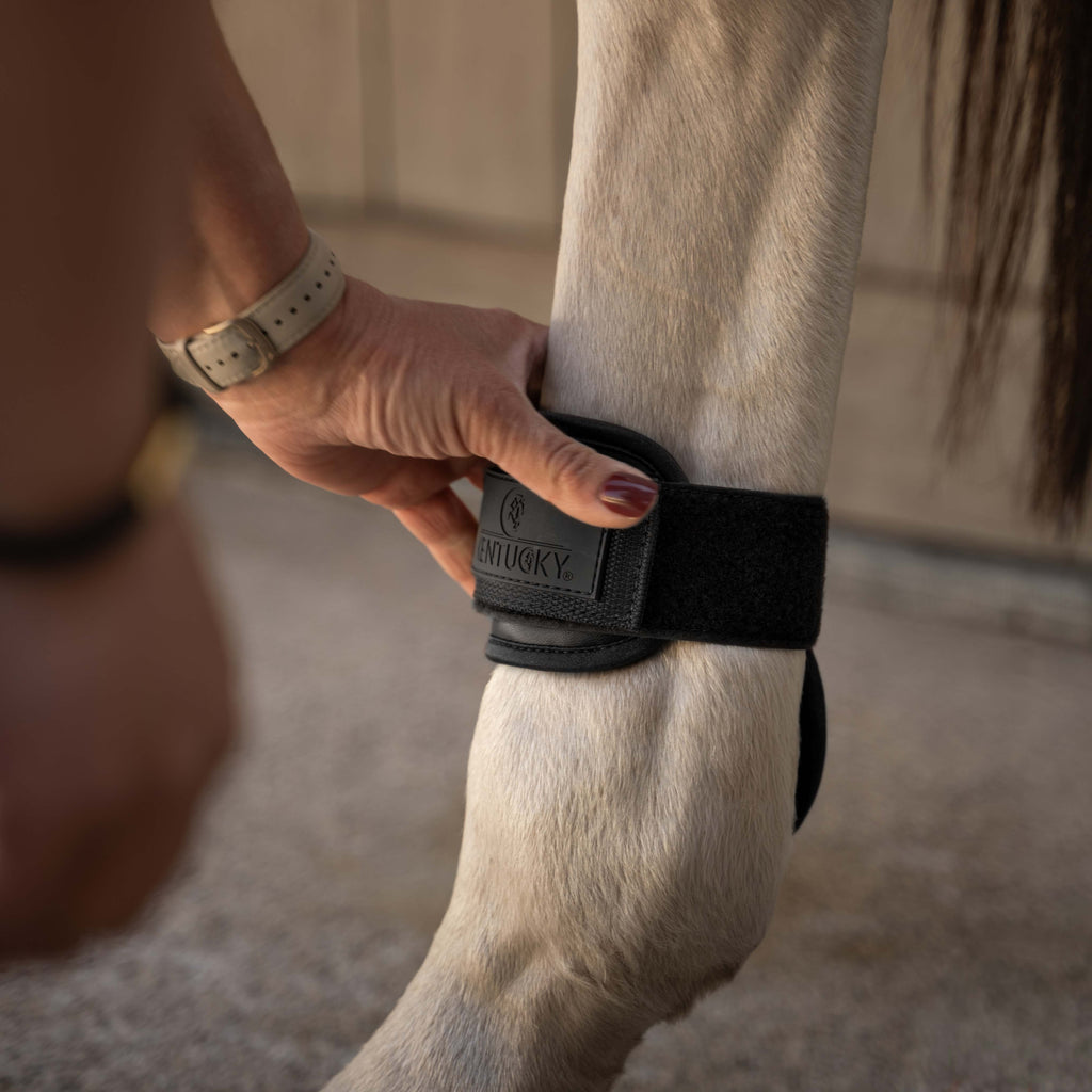 Kentucky Fetlock Boots Young Horse Pro