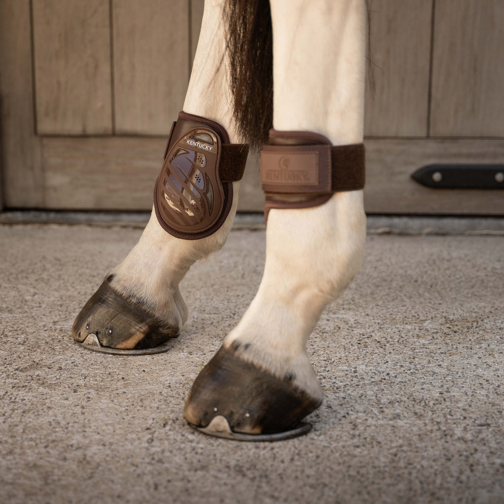 Kentucky Fetlock Boots Young Horse Pro