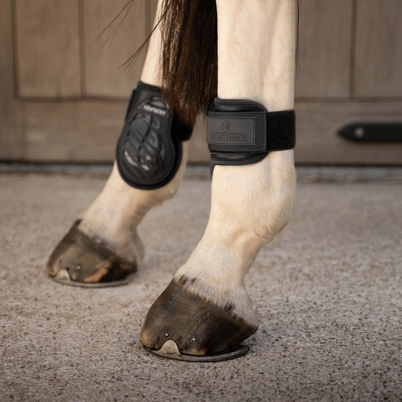 Kentucky Fetlock Boots Young Horse Pro