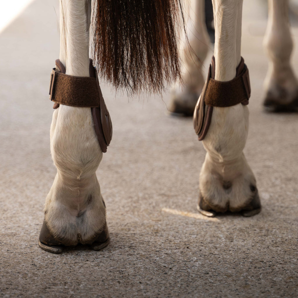 Kentucky Fetlock Boots Young Horse Pro