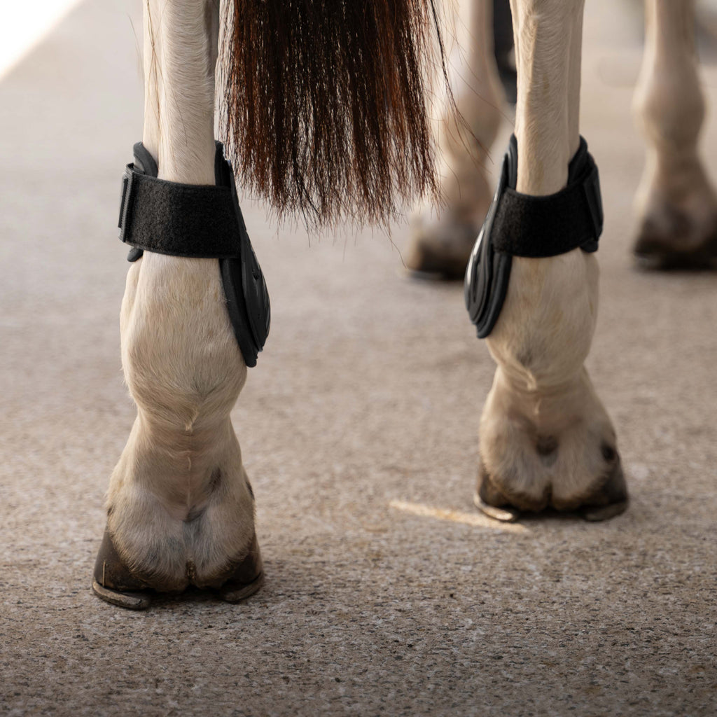 Kentucky Fetlock Boots Young Horse Pro