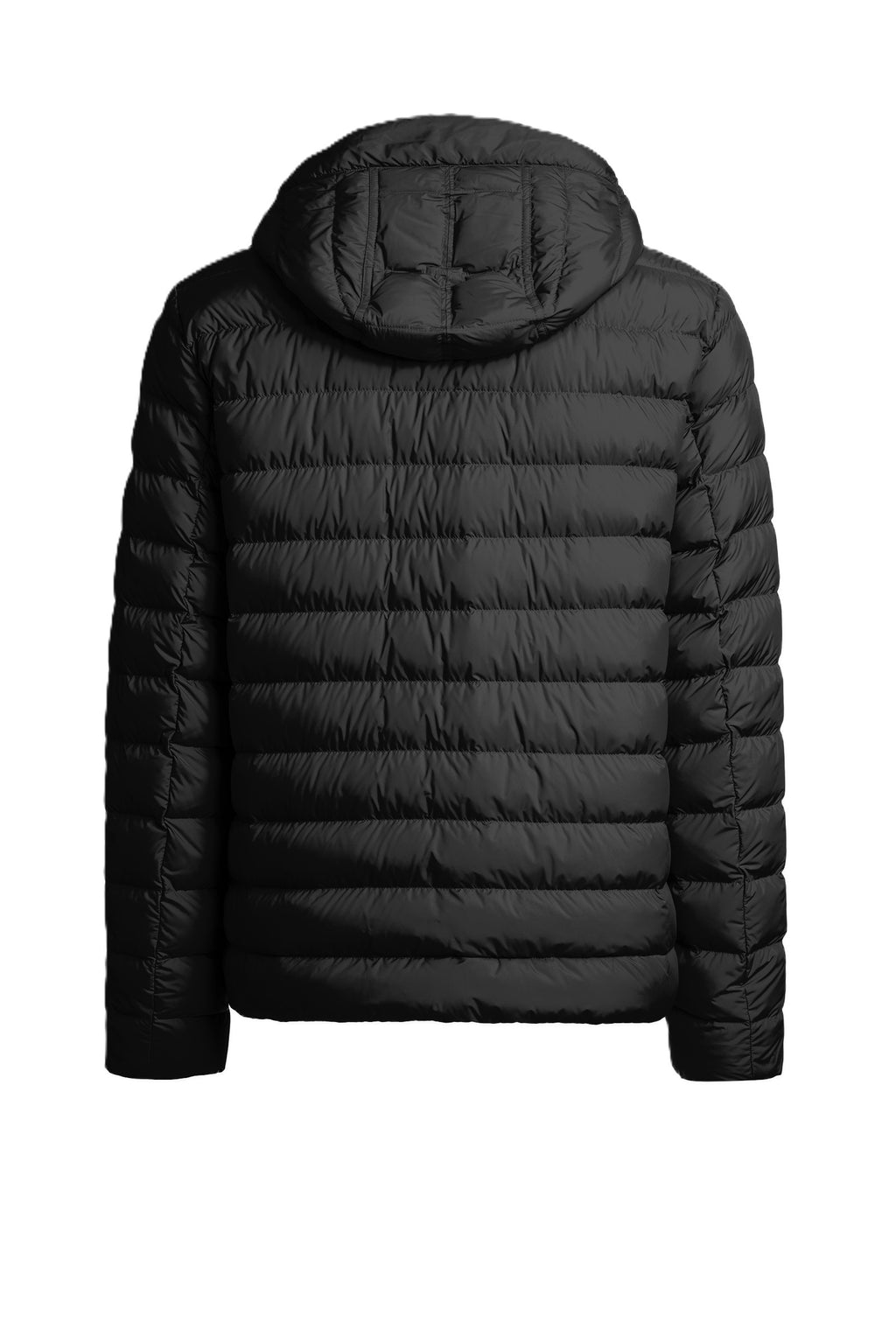 Parajumpers Jacke Last Minute - Herren