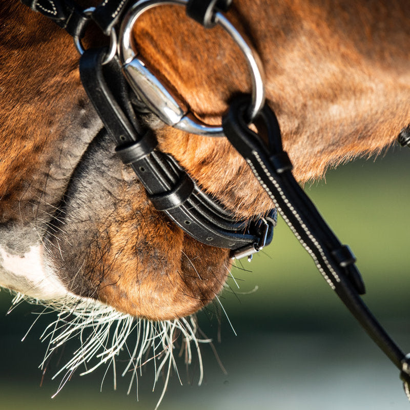 HFI German Bridle