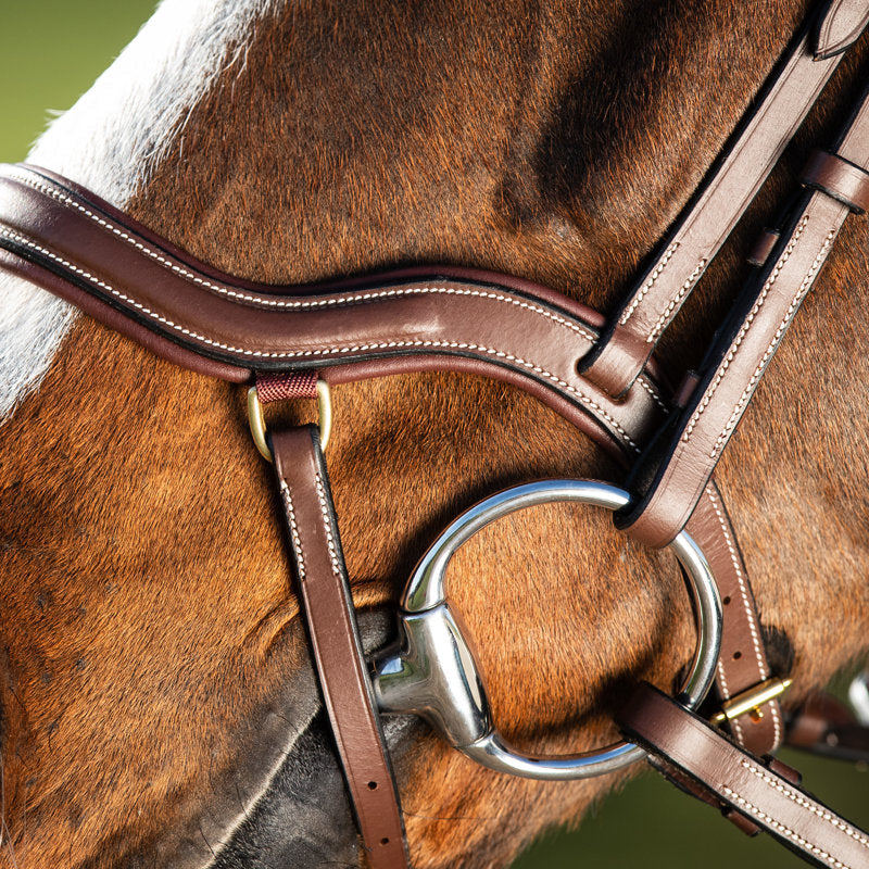 HFI Bridle Techno