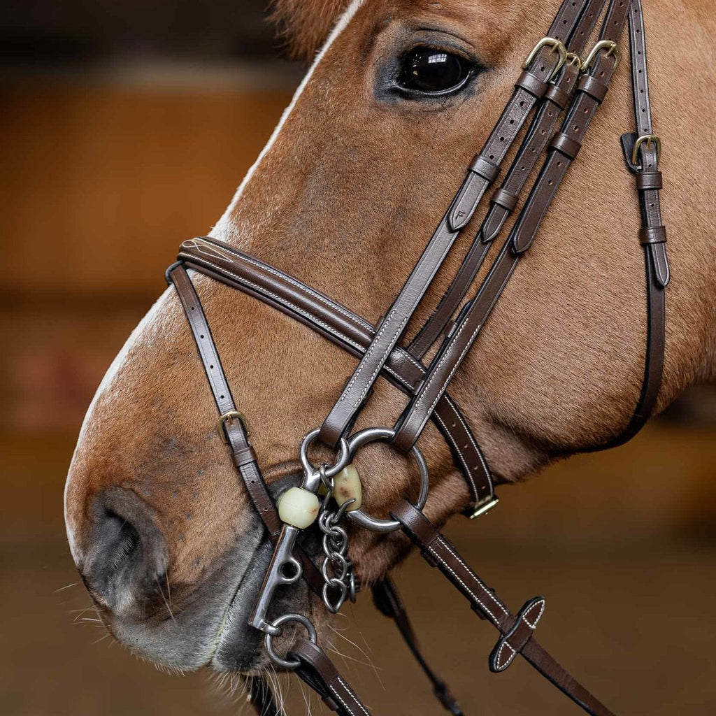 HFI Stang En Trenshoofdstel
