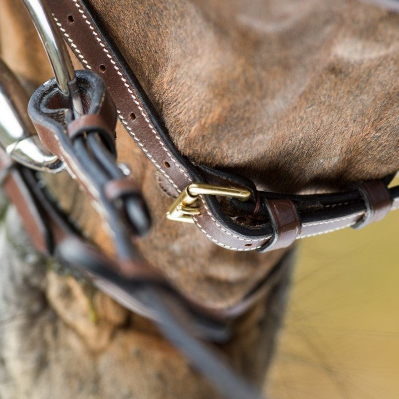 HFI Comfort Bridle
