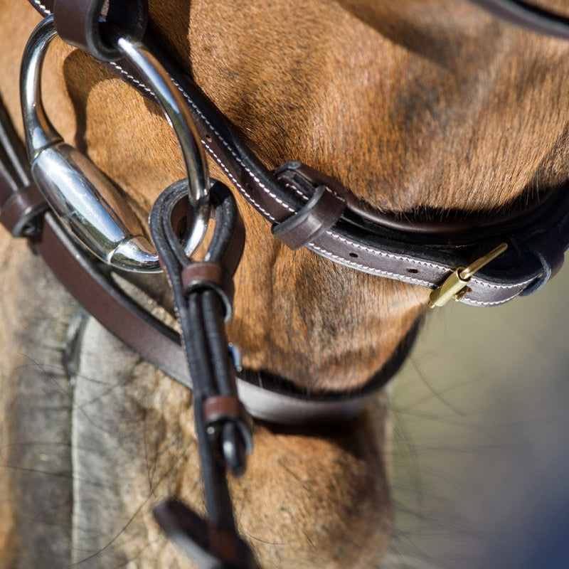 HFI Elegant Bridle