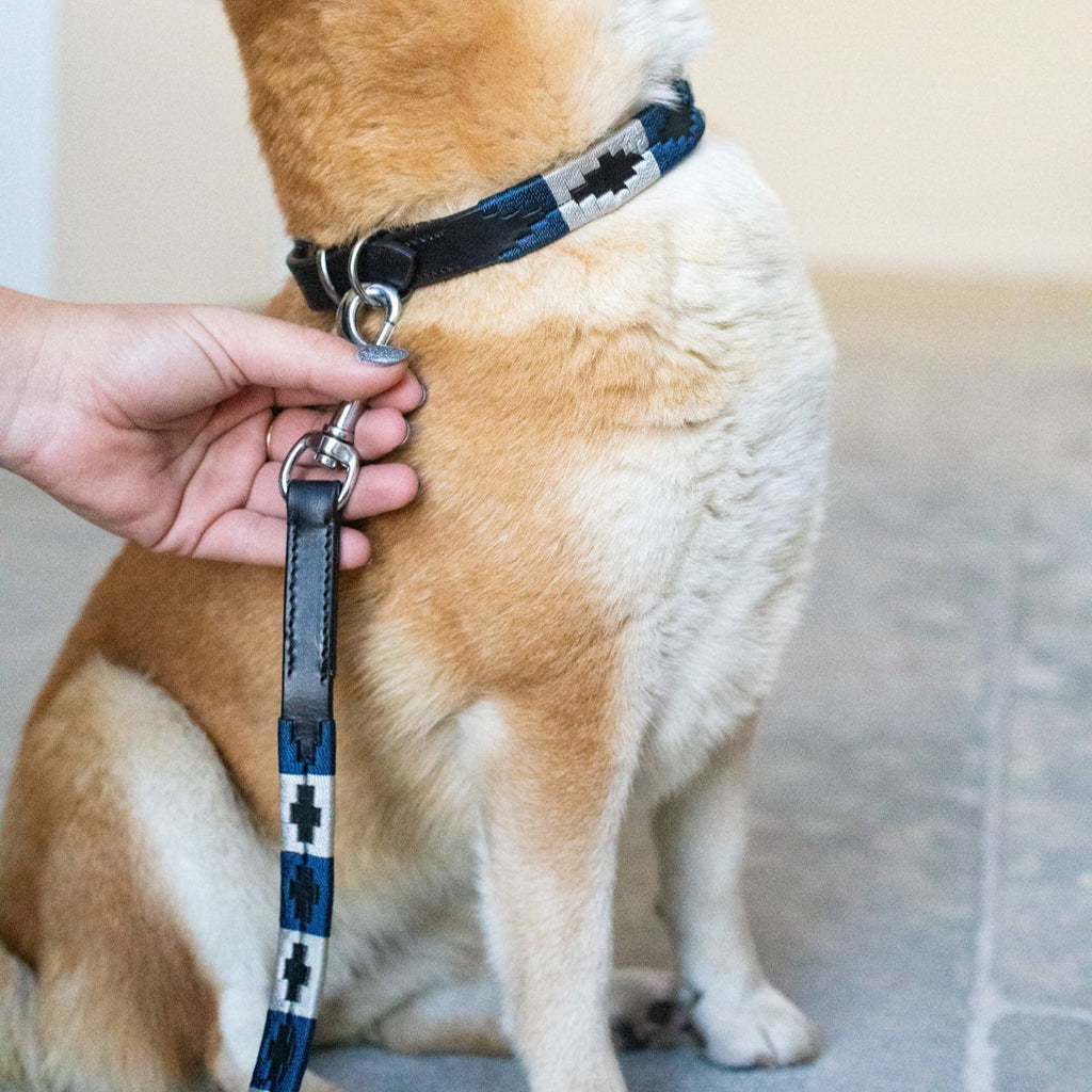 HFI Hundehalsband Polo