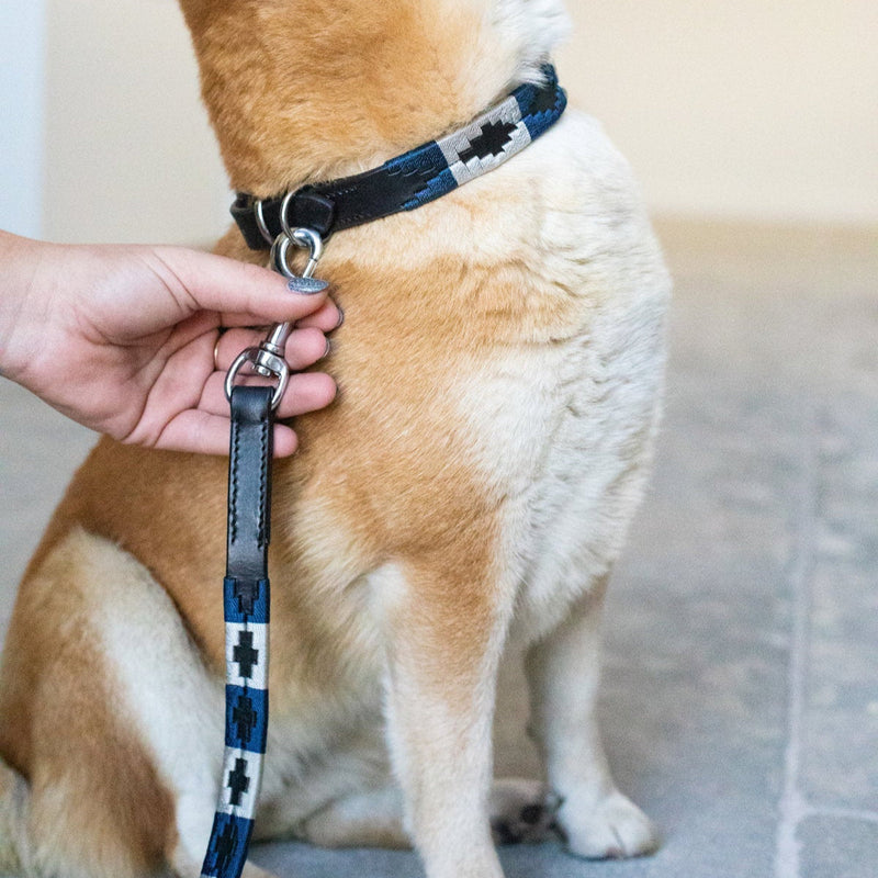 HFI Dog Collar Polo