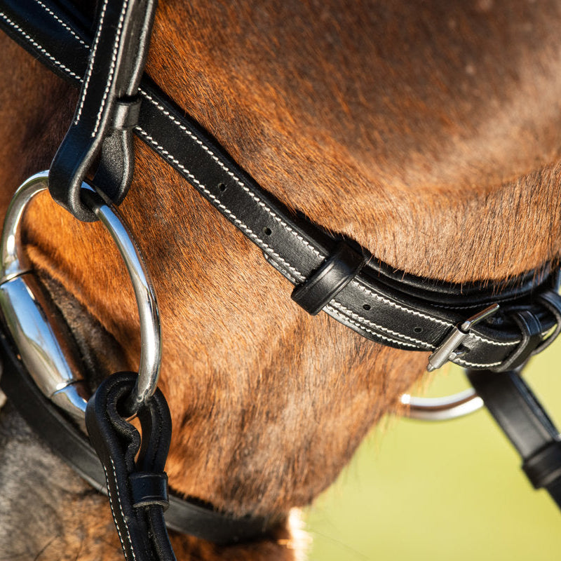 HFI Elegant Bridle