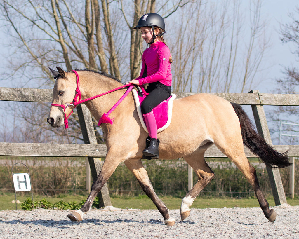 QHP Bareback Pad