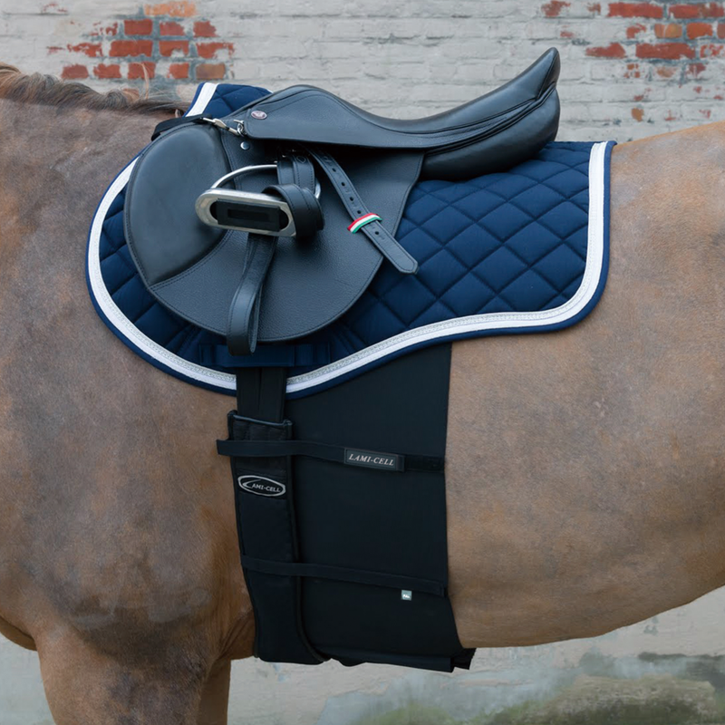 Lamicell Bodybandage Für Pferd