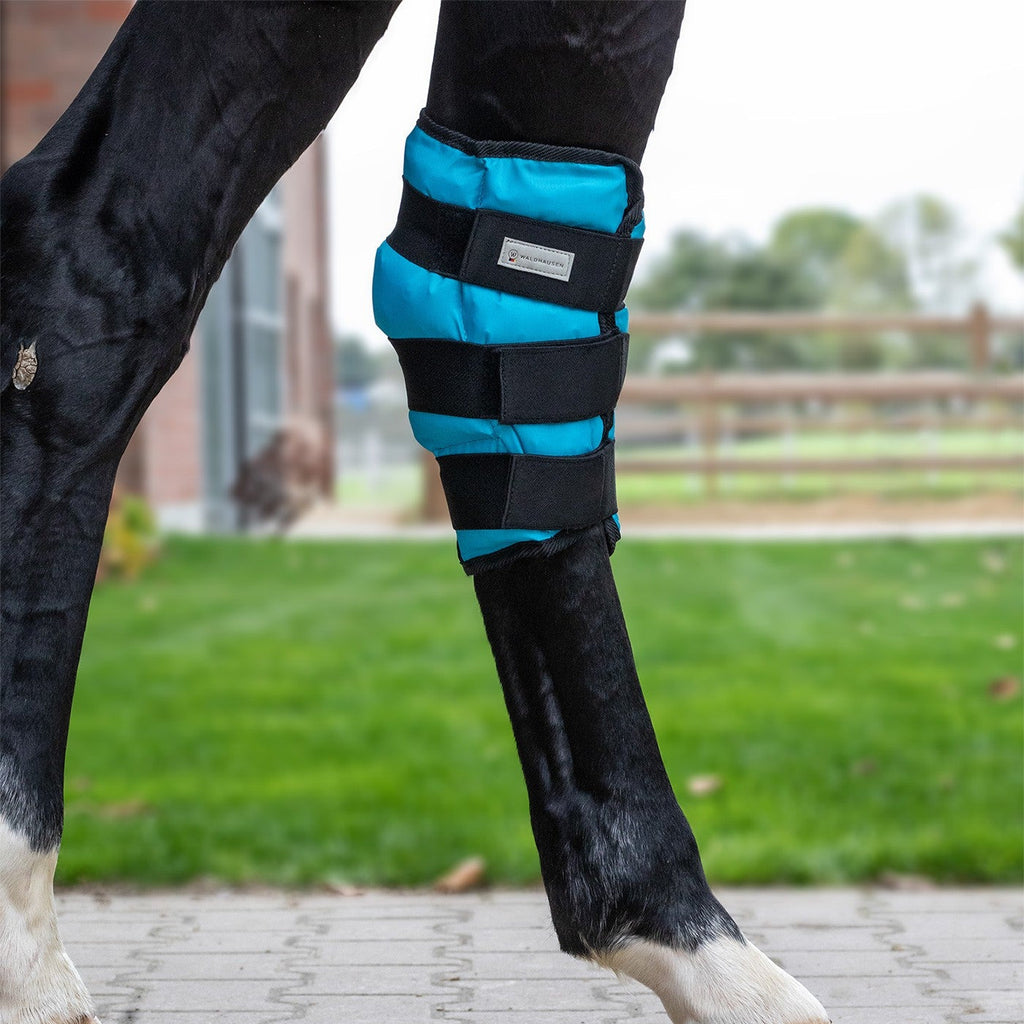 Fesselgelenk Kühlstiefel