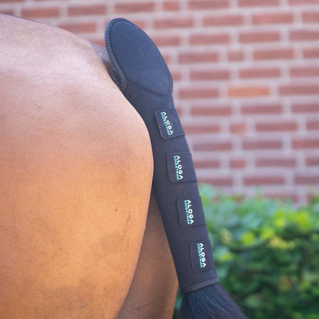 Aloga Pro Tail Guard