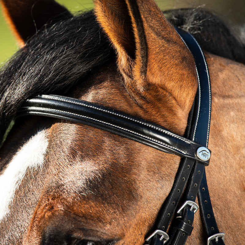 HFI German Bridle
