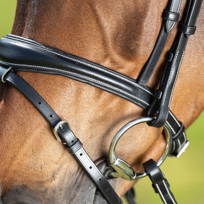 HFI Technical Bridle