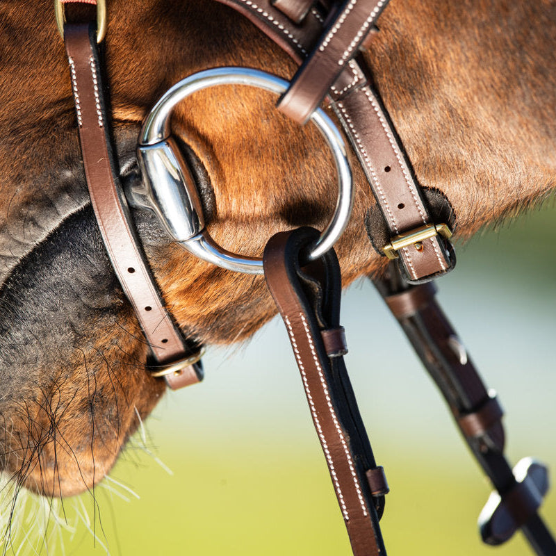 HFI Bridle Techno