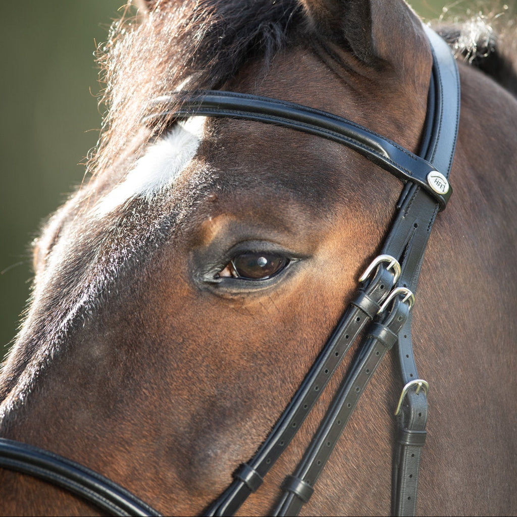 HFI Regular Bridle