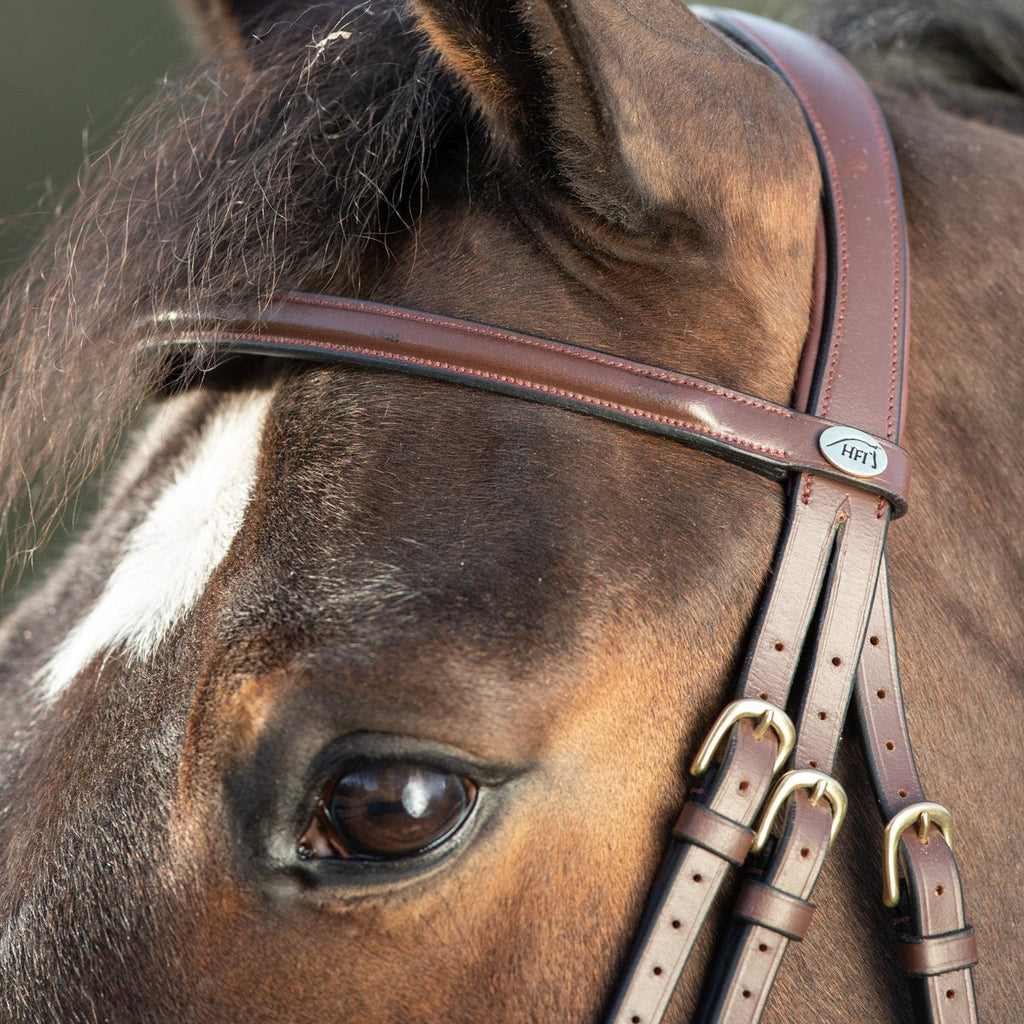 HFI Regular Bridle