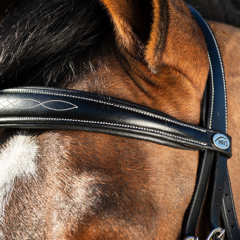 HFI Elegant Bridle