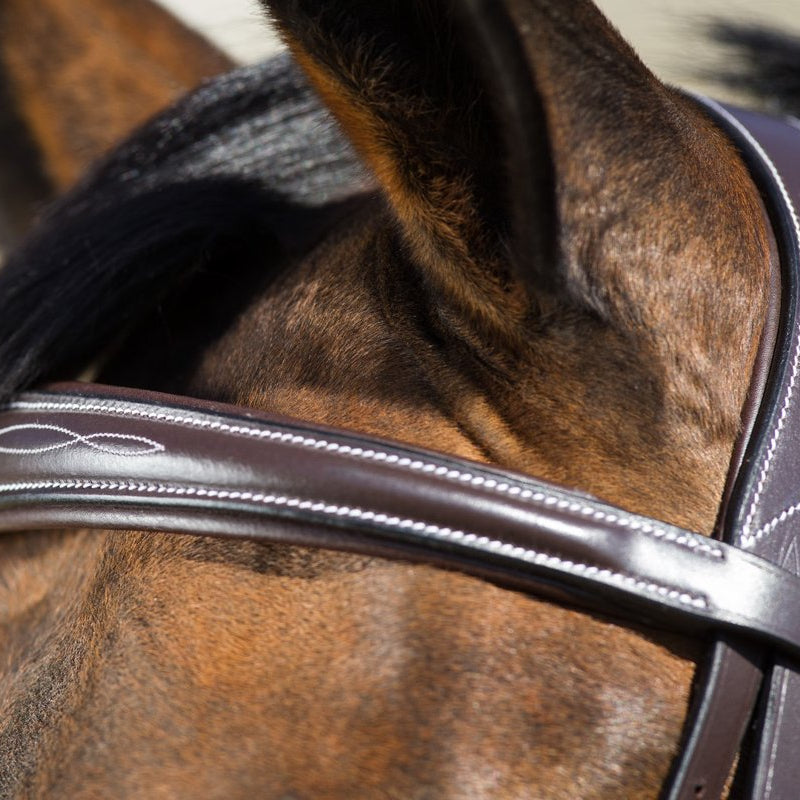 HFI Elegant Bridle