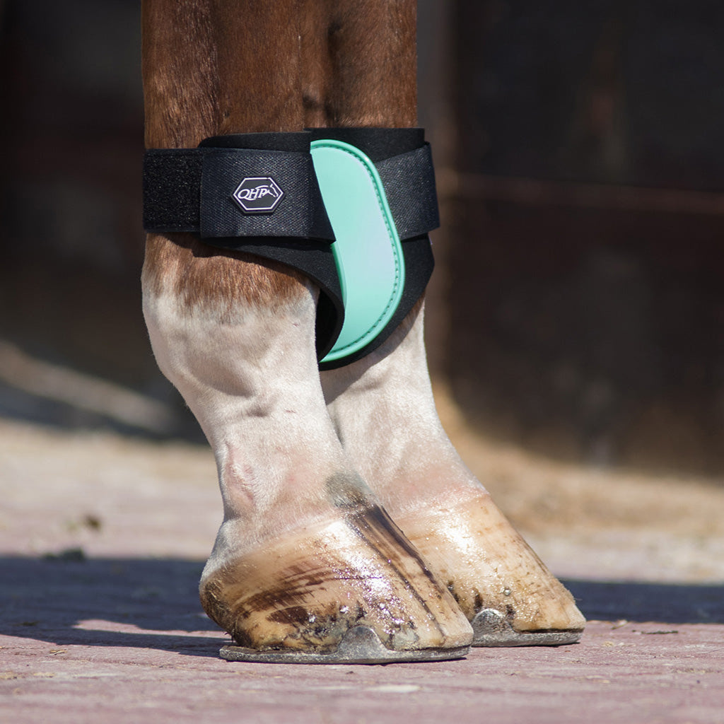 Guêtres postérieures QHP Poney