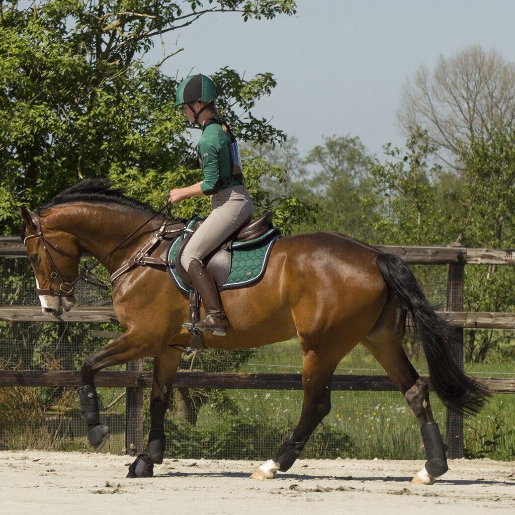 QHP Eventing Beenbeschermers Technical - Voorbeen