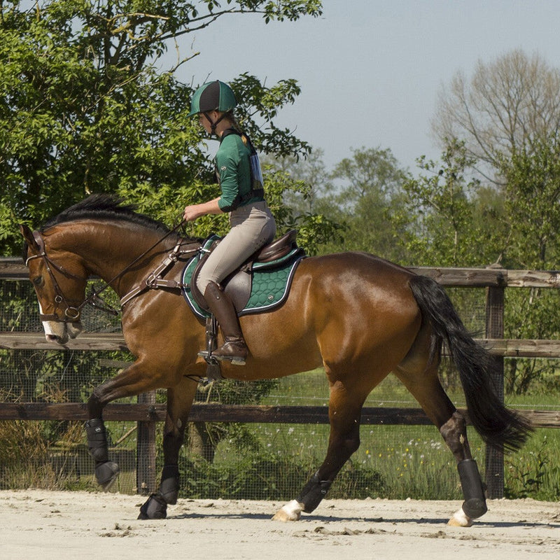QHP Eventing Tendon Boots Technical - Front Leg