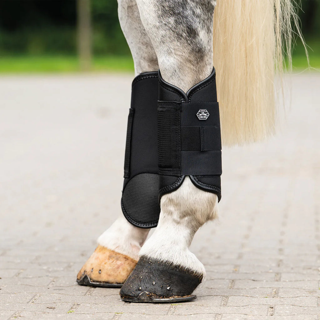 QHP Eventing Tendon Boots Technical - Hind Legs