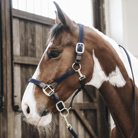 Kentucky Presentatielijn - Gevlochten Nylon - 2M