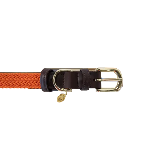 Kentucky Hondenhalsband - Gevlochten Nylon