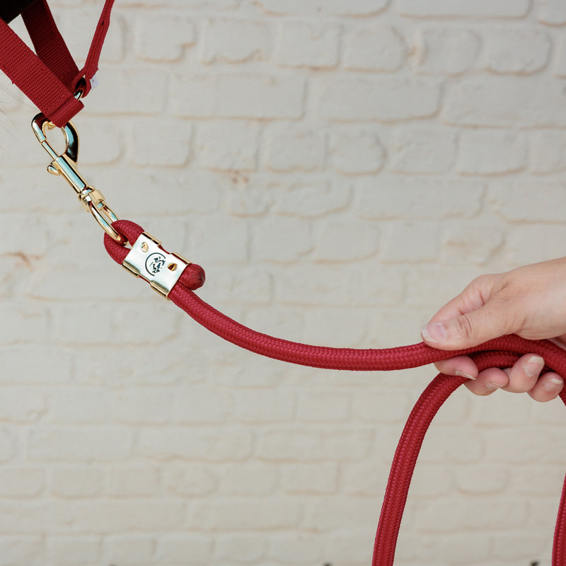 Kentucky Halstertouw - Basic