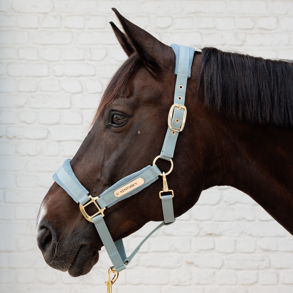 Kentucky Halfter Velvet