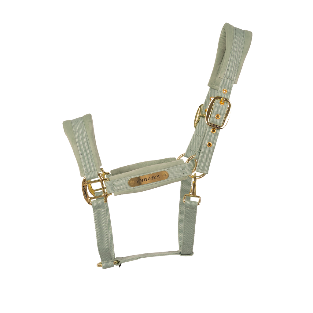 Kentucky Halter Velvet
