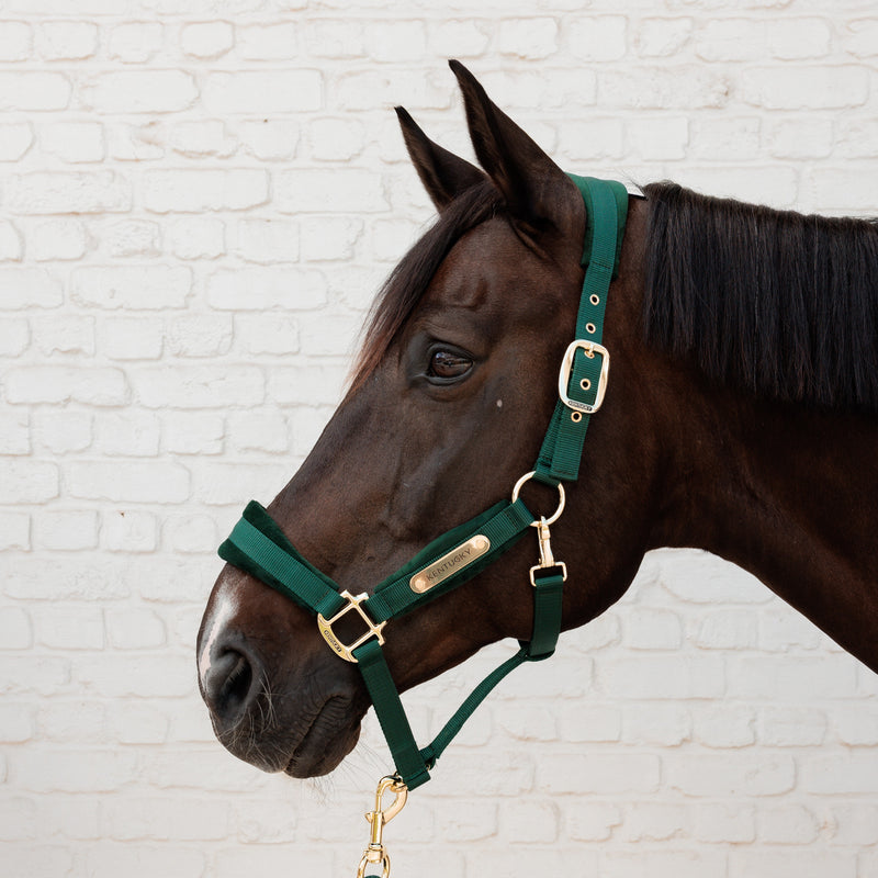 Kentucky Halter Velvet