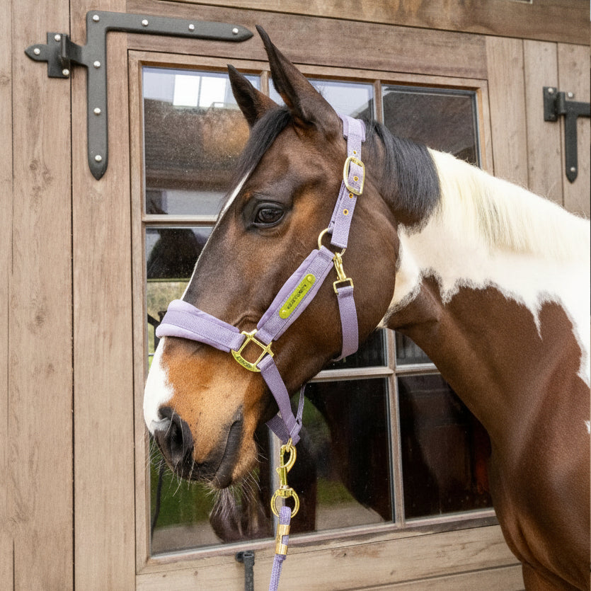 Kentucky Halter Velvet