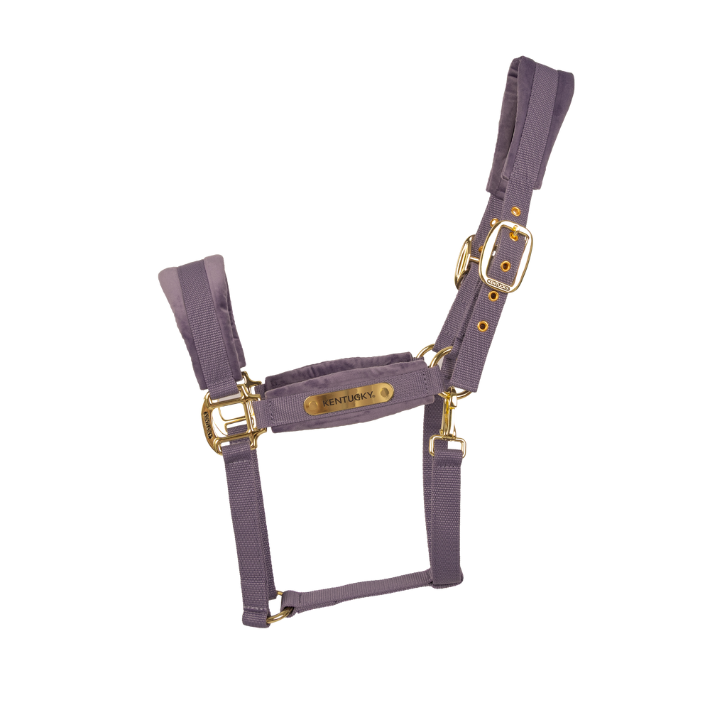 Kentucky Halter Velvet