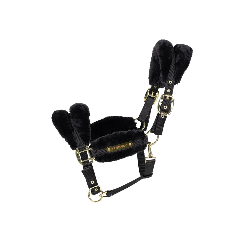 Kentucky Halfter - Nylon & Wolle Soft