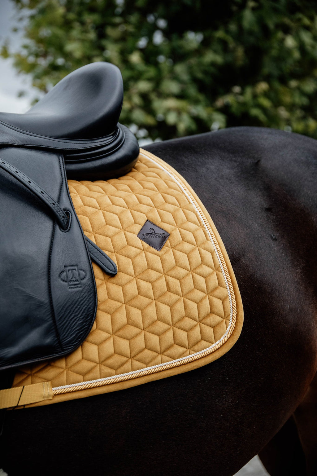 Tapis de selle Kentucky Velours - Dr
