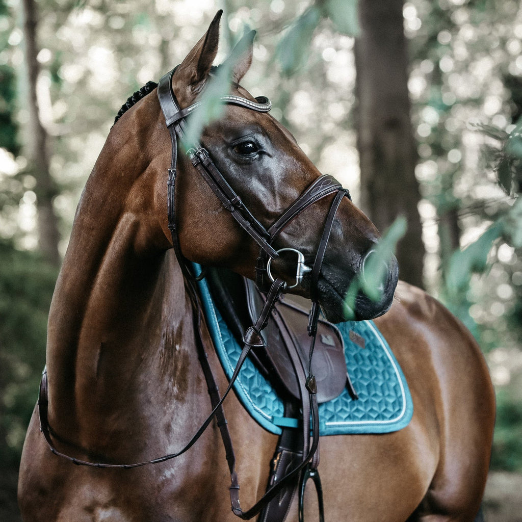 Tapis de selle Kentucky Velours - Jumping
