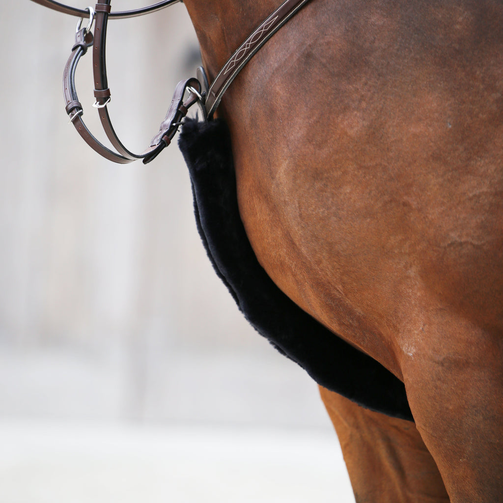 Housse de plastron Kentucky en peau de mouton